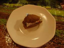 Resize of DSC06475.JPG